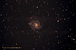 Pinwheel Galaxie M 101 mit Supernova